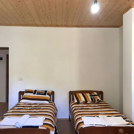 Elvis Blini Thethi بيت ضيافة