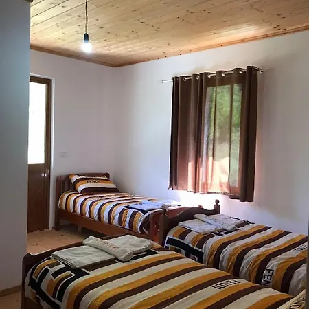 Elvis Blini Thethi 3*