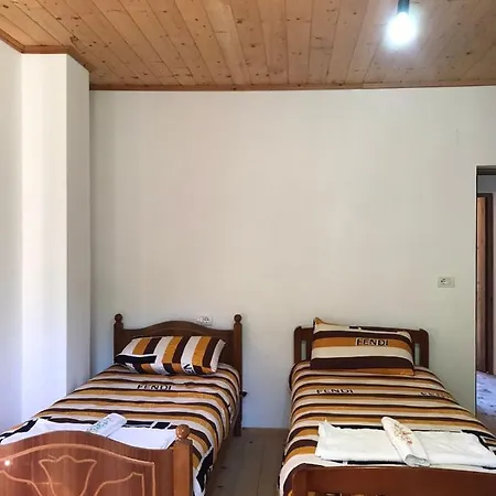 Гостевой дом Elvis Blini Thethi Тети