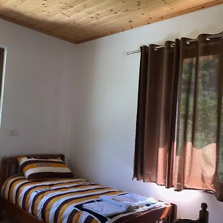 Elvis Blini Thethi 3*