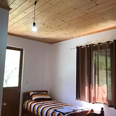 Elvis Blini Thethi 3*