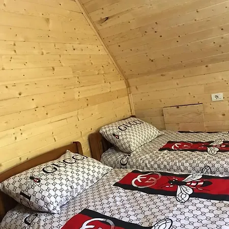 Elvis Blini Thethi 3* Тети