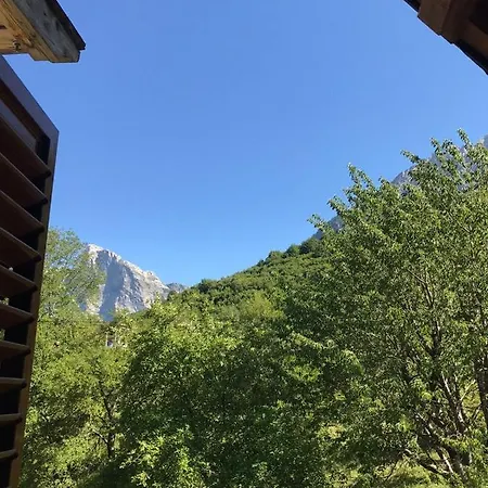 Elvis Blini Thethi 3*