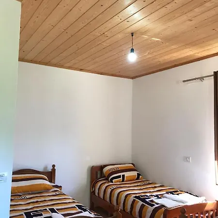 Elvis Blini Thethi Vendégház