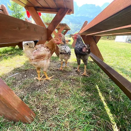 Vendégház Elvis Blini Thethi Theth